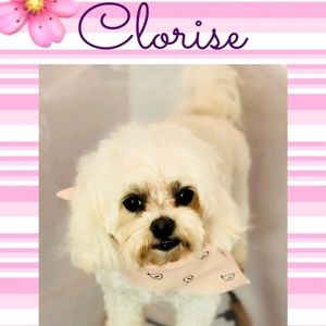 Meet your Posher, Teresa